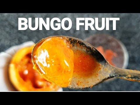 download lagu mp3 mp4 Bungo Fruit, download lagu Bungo Fruit gratis, unduh video klip Bungo Fruit