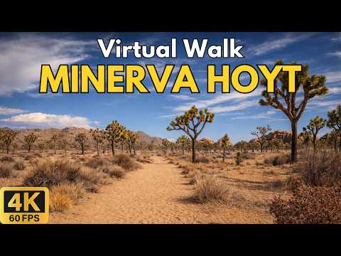 4K Treadmill Virtual Walk – Minerva Hoyt Trail at Joshua Tree | 46-Min Scenic POV Walk