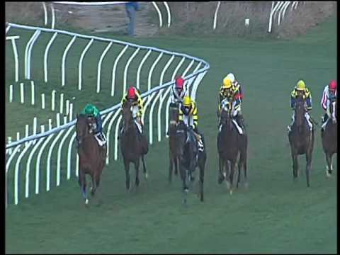 Galoppo 29/01/2016 -6° corsa