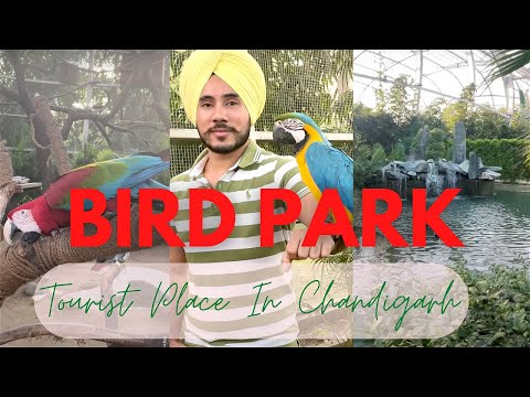 Famous Bird Park Chandigarh | Tourist Place For Family | Macow Birds
