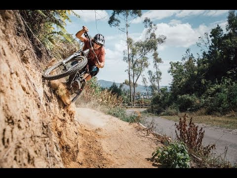 50to01 | New Zealand 2019