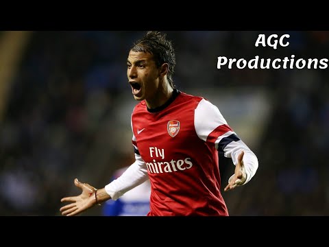Marouane Chamakh's 14 goals for Arsenal FC