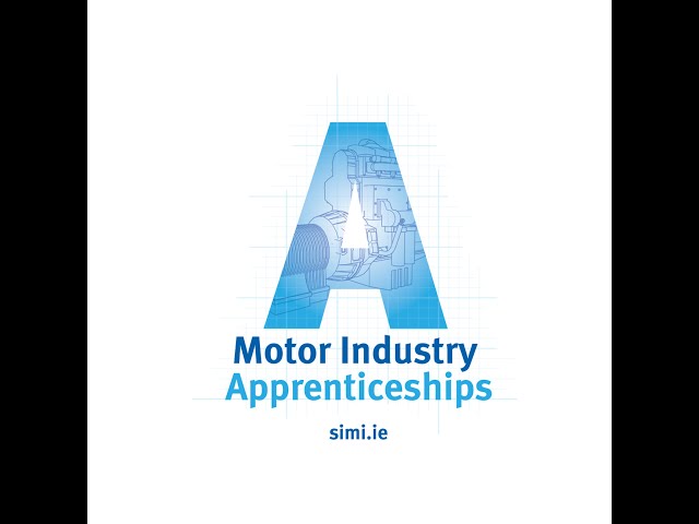 Motor Industry Apprenticeships - WorldSkills Ireland 2022