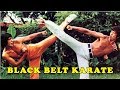 Wu Tang Collection - Black Belt Karate