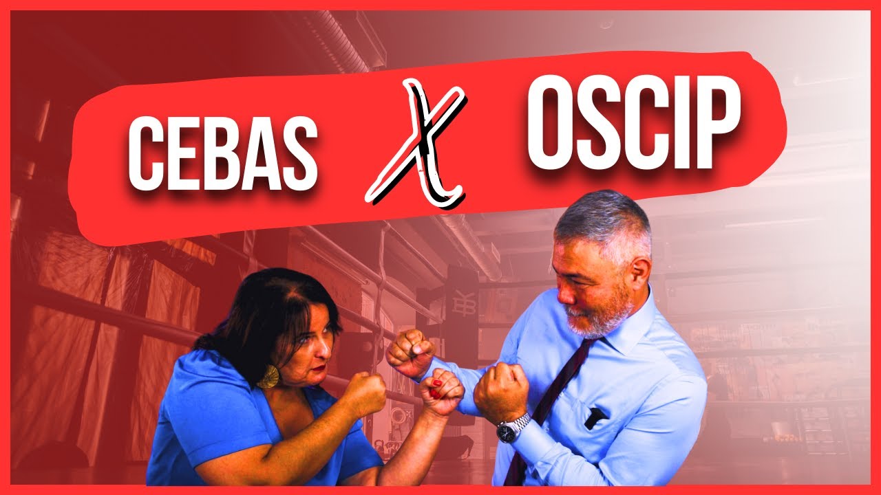 CEBAS ou OSCIP: Qual a melhor opção para a sua organização/ONG? | Revicont