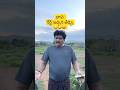 Bava Court Comedy Viralvideo Trending Funny Viral Shorts Love Reels Short Memes Fun