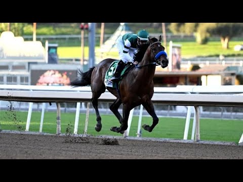 2021 Runhappy Malibu Stakes (G1) | Flightline | Santa Anita Park |