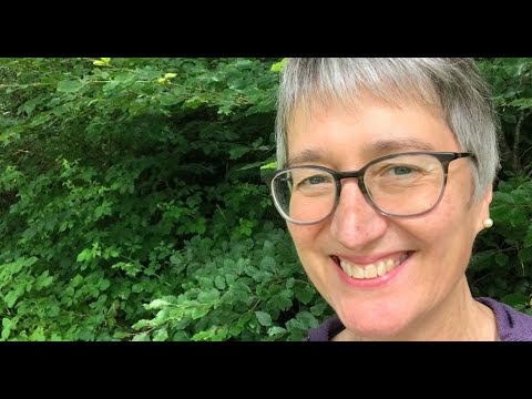 Sue Heatherington - Fresh Insight from the Quiet Edge - YouTube