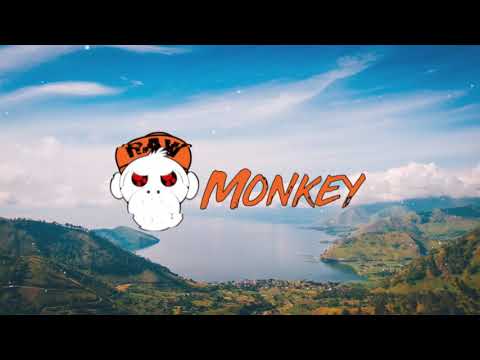 Niels de Vries - 12 Inch (Raw Hardstyle Edit By Maui & Hilkie) [MONKEY TEMPO]