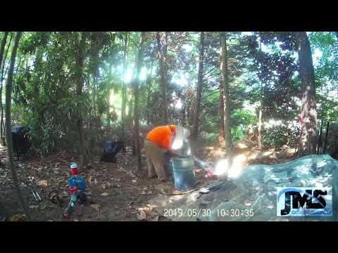 20190531 1 Chipping - Brush Pile Removal