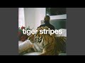 Tiger Stripes