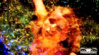 ENIGMA Smell of Desire