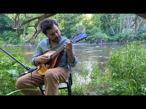 Gypsy Jazz Mandolin Chord Melody | Adrian Gross | Stardust
