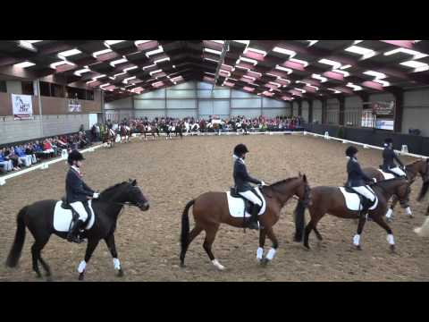 Voorronde NK Carrousel 2016 - Proef Caballitos