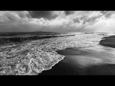 Zamna Soundsystem, ROZYO, Armonica feat. Blu - Summertime Sadness