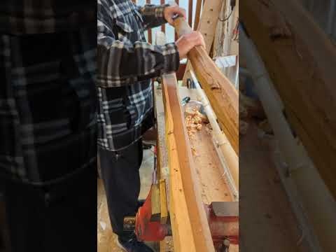 Selecting some full length Yew staves for making a Longbow #longbows #englishlongbow #bowyer  #bow