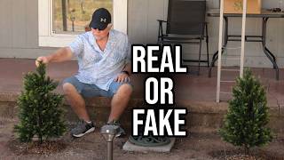 I Didn’t Expect These Fake Trees to Look This Real… Until I Set Them Up