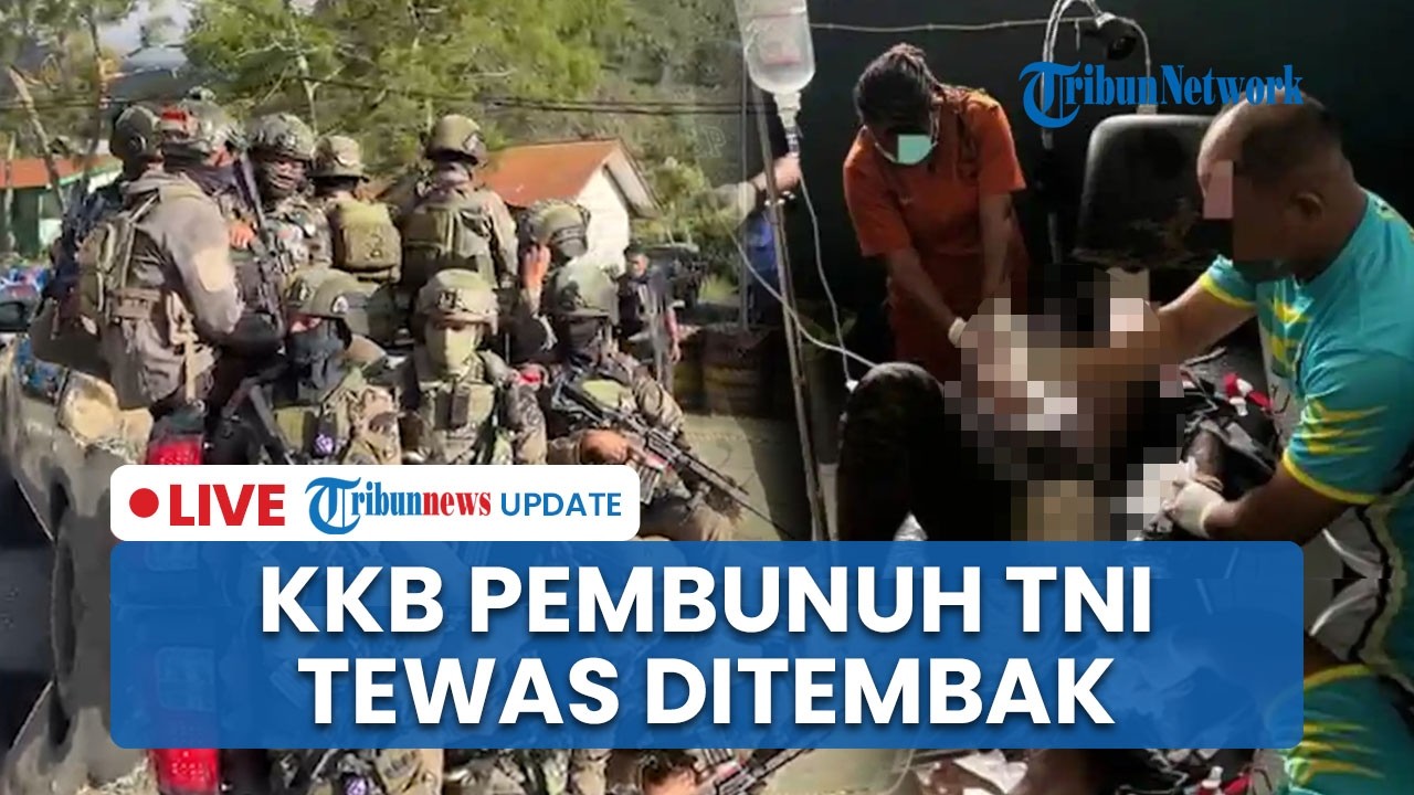 LIVE: Anggota KKB DPO Pembunuh Prajurit TNI di Puncak Jaya Tewas Ditembak saat Melawan Aparat