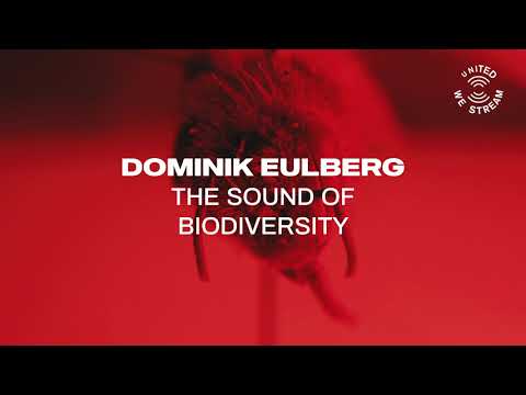 Teaser: Dominik Eulberg - The Sound of Biodiversity | United We Stream X Museum f. Naturkunde Berlin