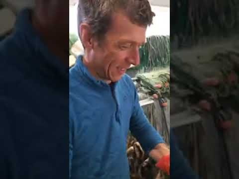 LA PLACE DU VILLAGE:Anthy-sur-Léman (Chablais-Haute-Savoie-France) : retour de pêche,