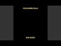 Poolamme Pilla