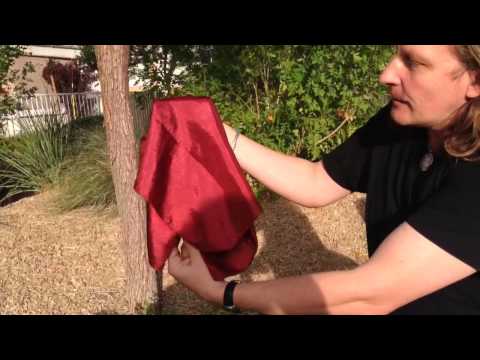 The Diary by Losander