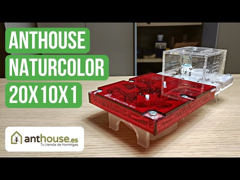 Anthouse Acrylic NaturColor 20x10x1 Nest Review