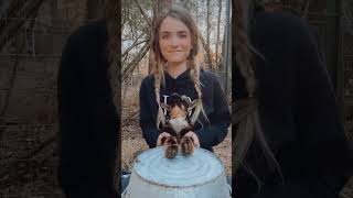 Man-horse has a drum-off with a goat