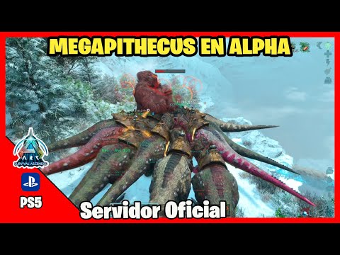 Hacemos el MEGAPITHECUS ALFA | ARK ASCENDED Servidor Oficial