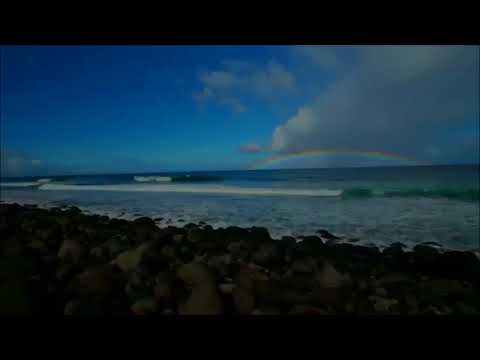 JUTARNJI I VEČERNJI ZIKR  Sura ikhlas, felek & nas 3x