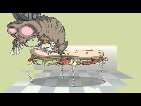The Travelling Sandwich (2008)