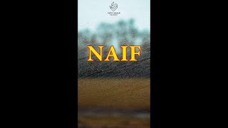 Download lagu Naif - Posesif (Lyric Video) mp3