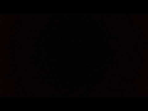 LilStarBeltP - foodstamps (prod. by LethalNeedle)