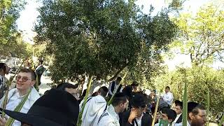 הרב רפאל קוק בשער השבטים בחול המועד סוכות תשפה