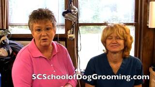 preview picture of video 'Get to know Wanda at Alpha Dog Professional Grooming Irmo, SC'