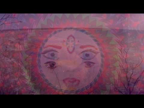 Doctor Elektroorganik - Crazy Cat Lady