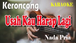 Download lagu USAH KAU HARAP LAGI ll KARAOKE KERONCONG ll THE MERCYS ll NADA PRIA AS=DO mp3