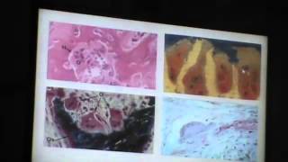 Dr.Gihan "Bone" #Practical