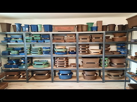 Bonsai  POTS on SHOP