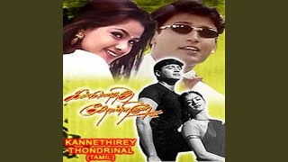 Download lagu Chinna Chinna Kiliye mp3