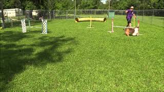 Egan PIII Jumpers at Home 1 109083