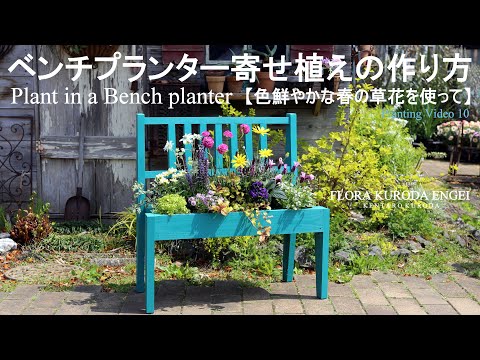 園芸 素敵な春のプランターを作ろう