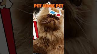 🐈 10 Curiosidades sobre o Gato Garfield do Cinema, inspirado na Raça Persa# Shorts🐈🐱🐈🐕‍🦺🐩🐾🐾