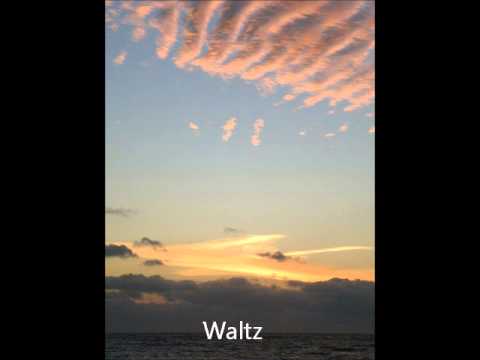 Béla Tardos:  Waltz