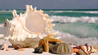 Making it easy    Lynn Anderson by MoniaDeejay