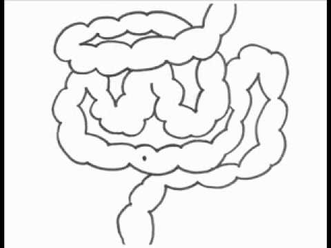 comment soigner une occlusion dentaire