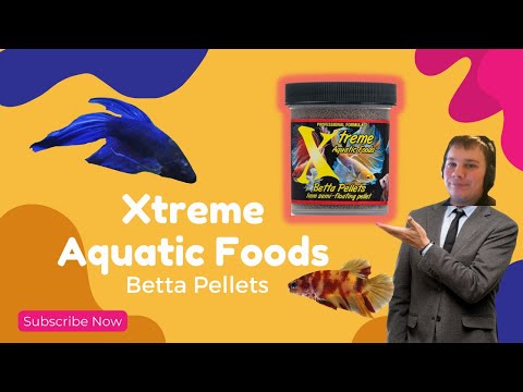 Xtreme Betta Pellets