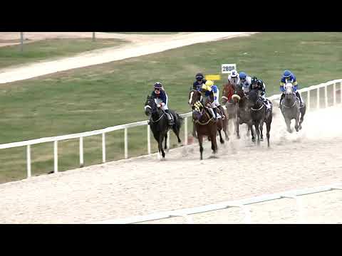 2021.04.11. 05. futam - HERCEG FESTETICS TASZILÓ EMLÉKVERSENY HP.(II.o.)(szint.p.)