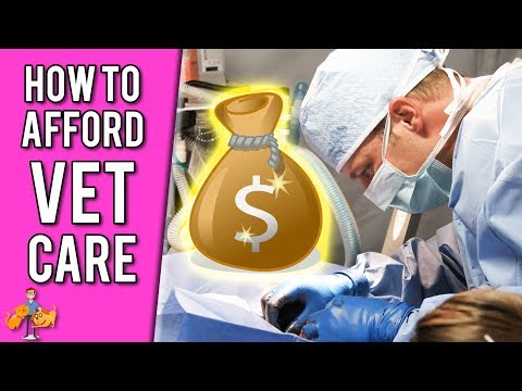 YouTube video about: Can a vet hold your dog for non payment?