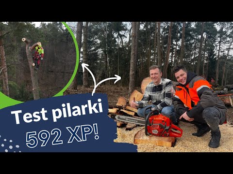Pilarka 592XP marki Husqvarna 👉 test i wstępna wycinka 💪